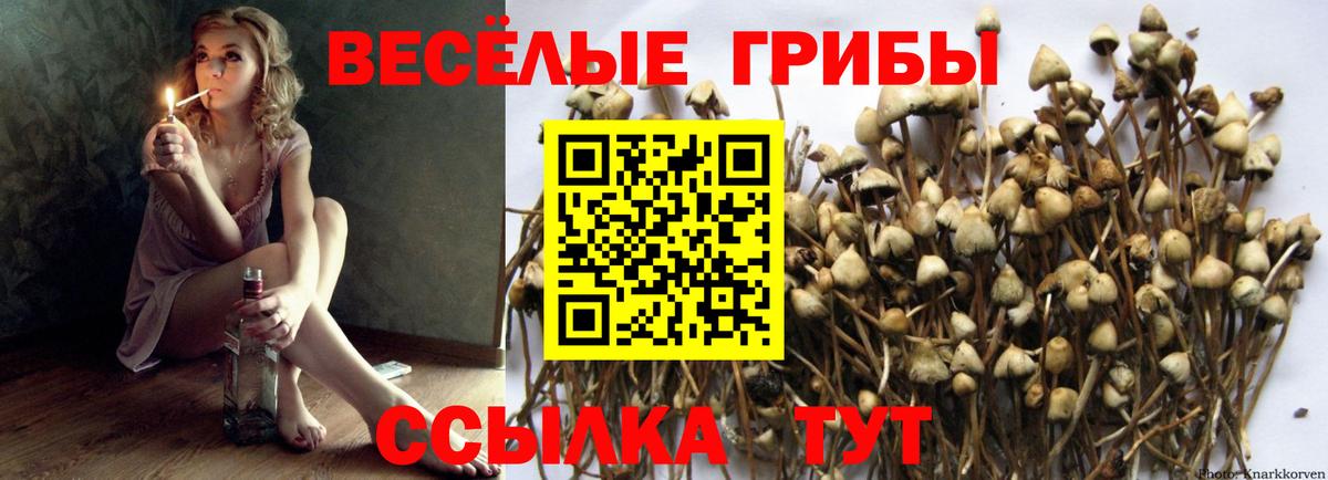 Галлюциногенные грибы прущие грибы  Вход с VPN  Костомукша 